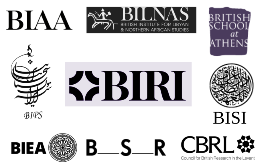 BIRI Digital Coordination and Strategy Project