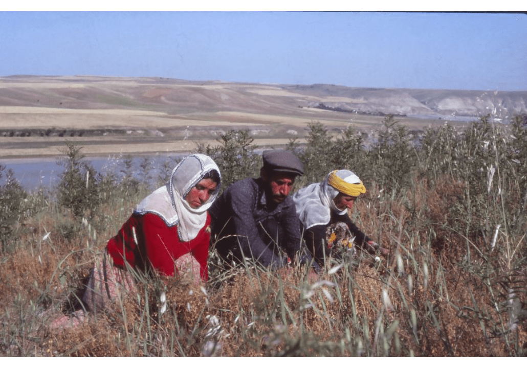 MEAP project - Lost Villages of the Upper Euphrates: A Digital Archive