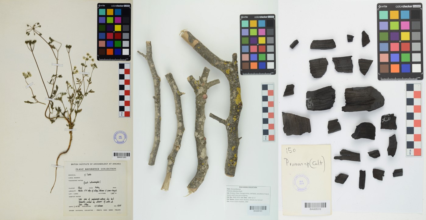 Botanical Reference Collection