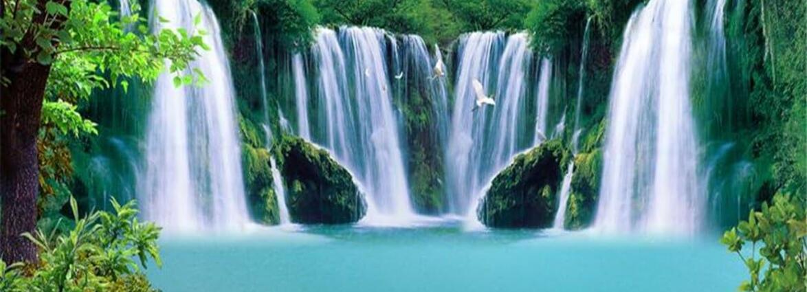 Collection Representative Image