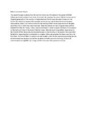 Britain's Levantine Empire 1914-1923 Summary