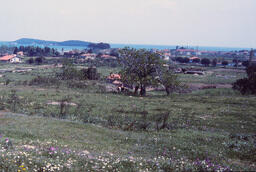 Klazomenai