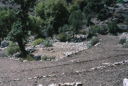 Ruins of the Ancient City