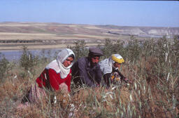 People Working in a Field