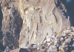 Hittite Rock-Carved Monuments with Two Male Deities