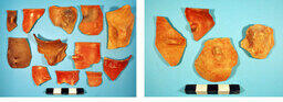 Potsherds 74