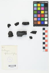 Charcoal Sample 149