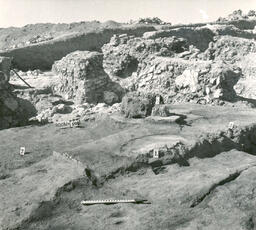 View from Excavation Area
