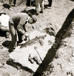 An Archaeologist Working on a Carbonised Beam Remain at Beycesultan