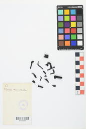 Charcoal Sample 23