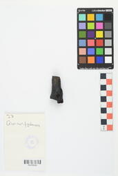 Charcoal Sample 27