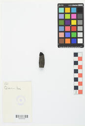 Charcoal Sample 121