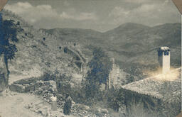 Medieval Walls