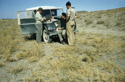 James Mellaart, David French and Alan Hall was discovered the Çatalhöyük  during Konya plain survey on November 1958
